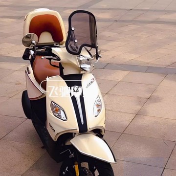 公司貨 免運 適用巧格i125尾箱ZY125T-13摩托車載物箱復古后備箱橢圓復古尾箱 快速發貨