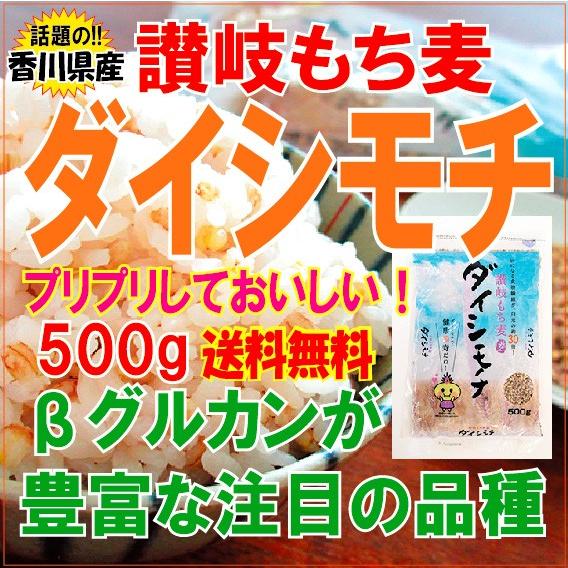 ダイシモチ 讃岐 もち麦 500ｇ香川産　送料無料