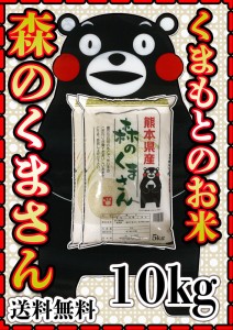 お米 米 10kg 白米 送料無料 熊本県産 森のくまさん あす着 新米 令和5年産 5kg2個 くまモン くまもとのお米 富田商店 とみた商店