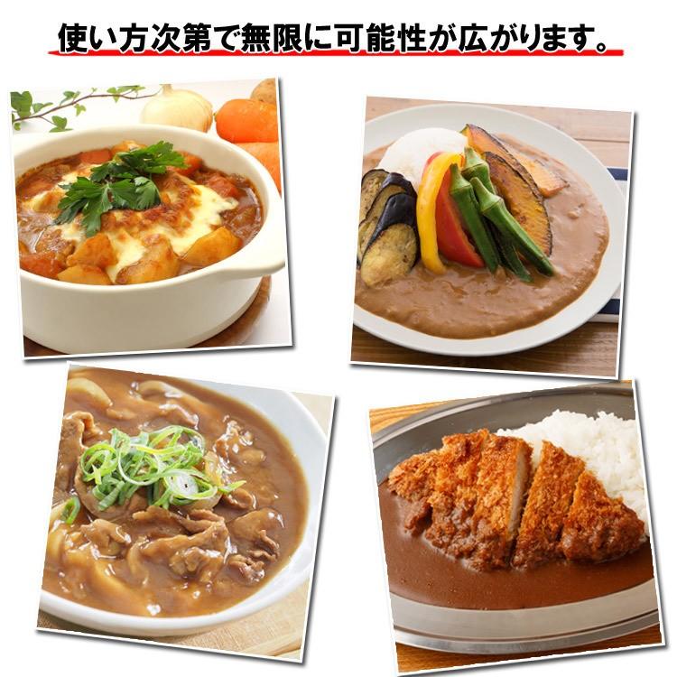 プロが愛する　創味のカレー１kg　プロの味わいが簡単にご自宅で!! 常温 メール便配送 送料無料