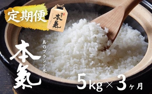 計15kg！本氣米5kg×3か月定期便