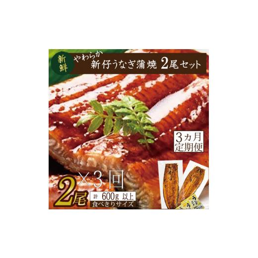 ふるさと納税 茨城県 行方市 AD-112　やわらか新仔うなぎ食べ切りサイズ100〜120g　2尾×3　計600ｇ以上