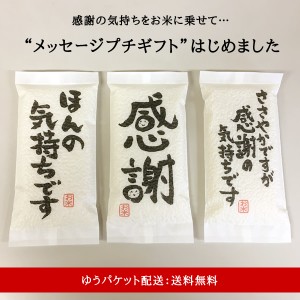 プチギフト お試し 送料無料 ギフト お米 広島県産 コシヒカリ 300g 感謝 ありがとう 米   ※ゆうパケット配送・日時指定・代引不可