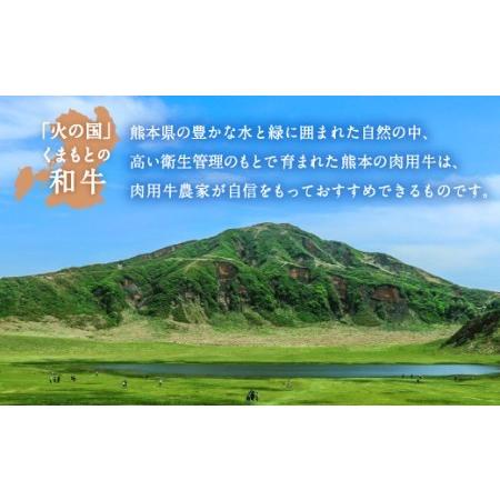 ふるさと納税 熊本県産 黒毛和牛 ロース 焼肉用 400g 国産 牛肉 焼き肉 熊本県菊池市