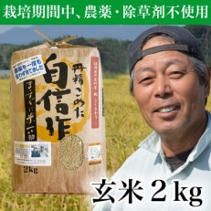 玄米 農薬不使用(栽培期間中)  福岡県芦屋町産コシヒカリ 〈玄米〉2kg