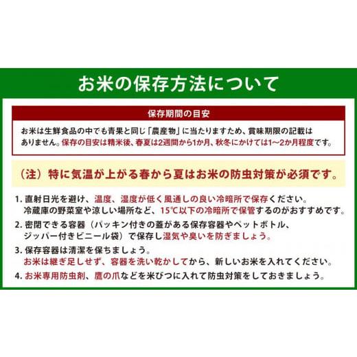 ふるさと納税 北海道 平取町 特Aランクの「ゆめぴりか」(5kg×年6回)