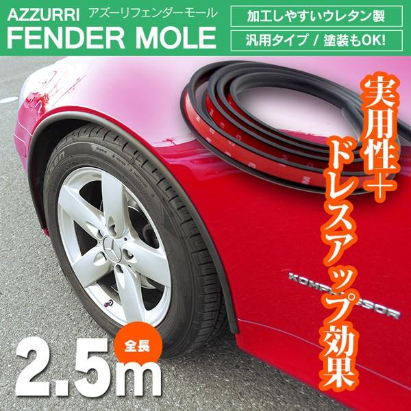AZ) フェンダー モール /オーバーフェンダー 汎用 2.5m ハミタイ
