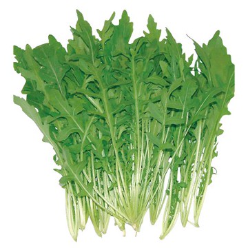 【拈花微笑】芝麻葉｜種子｜1g｜非基因改造種子｜蔬菜｜蔬果｜有機無毒｜高發芽率