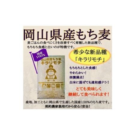 ふるさと納税 岡山県玉野市産 もち麦 キラリモチ 10kg (5kg×2袋) 岡山県玉野市