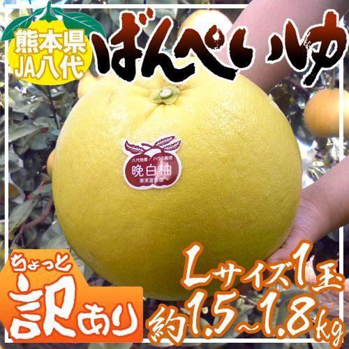 熊本県八代特産 ”晩白柚” ばんぺいゆ ちょっと訳あり Lサイズ 1玉 約1.5〜1.8kg