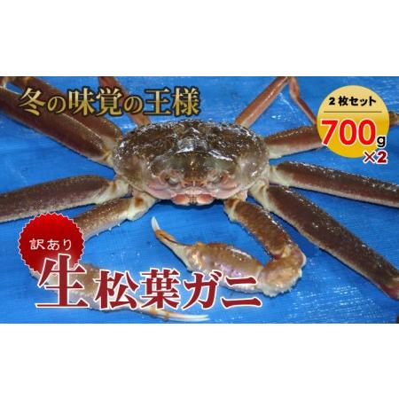 ふるさと納税 訳あり生松葉ガニ２枚セット かに カニ 蟹 生 新鮮 かに カニ 蟹 松葉ガニ 松葉がに かに カニ 蟹 生 鳥取県倉吉市