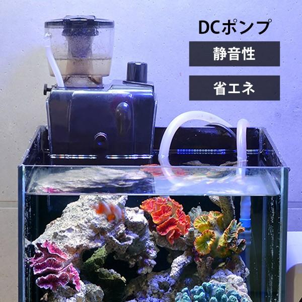 ゼンスイ プロテインスキマー QQ1 - 海水魚用品