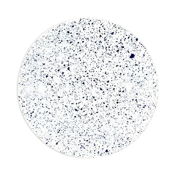 Non Sans Raison Splash Dinner Plate