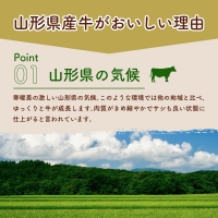 湯せんで温めるだけ！山形県産牛肉ハンバーグ1.32kg（110g×12個入り）