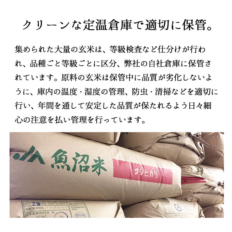 新米 5kg 魚沼産コシヒカリ お米 5キロ 令和5年産 こしひかり 送料無料 白米 産直 精米