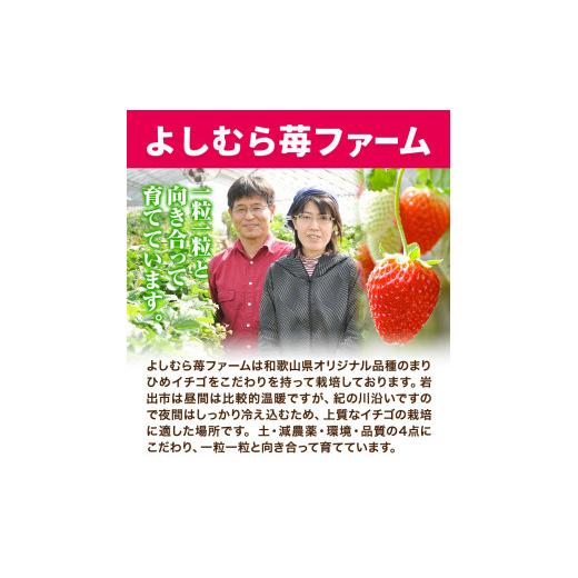 ふるさと納税 和歌山県 岩出市 完熟いちご大粒まりひめ 700g(350g×２パック) よしむら苺ファーム 《12月上旬-4月中旬頃より順次出荷》 和歌山県 岩出市 いち…