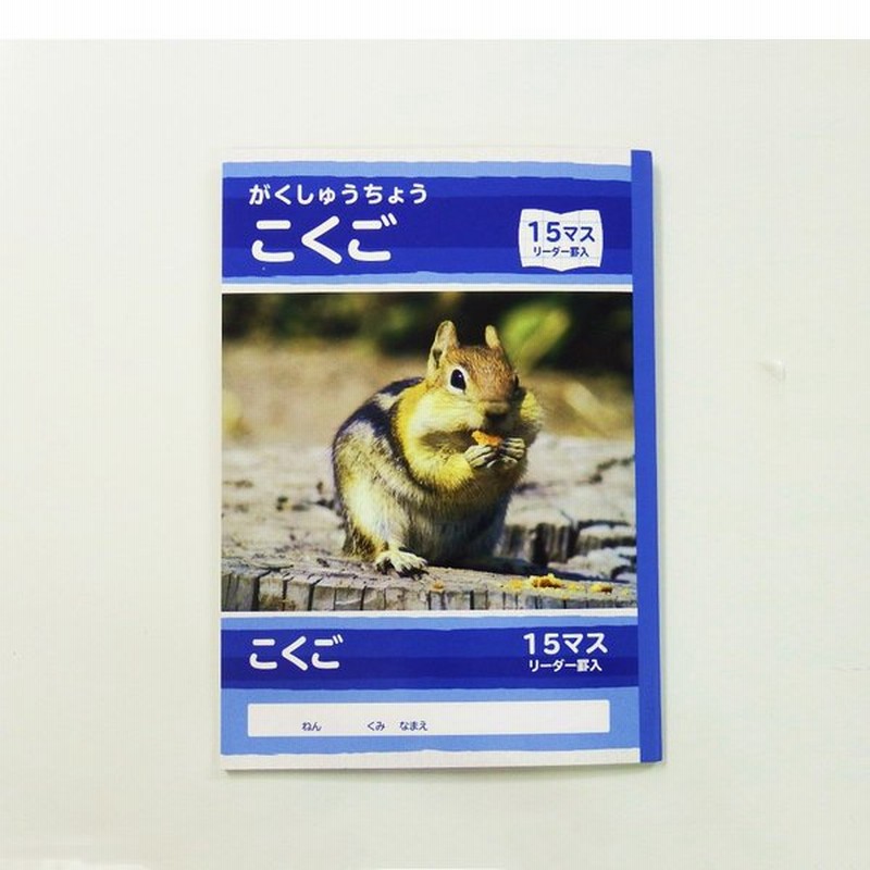サンフレイムジャパン 学習帳 こくご １５マス 500 2431 通販 Lineポイント最大get Lineショッピング