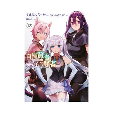 自稱賢者弟子的賢者THE COMIC(12)