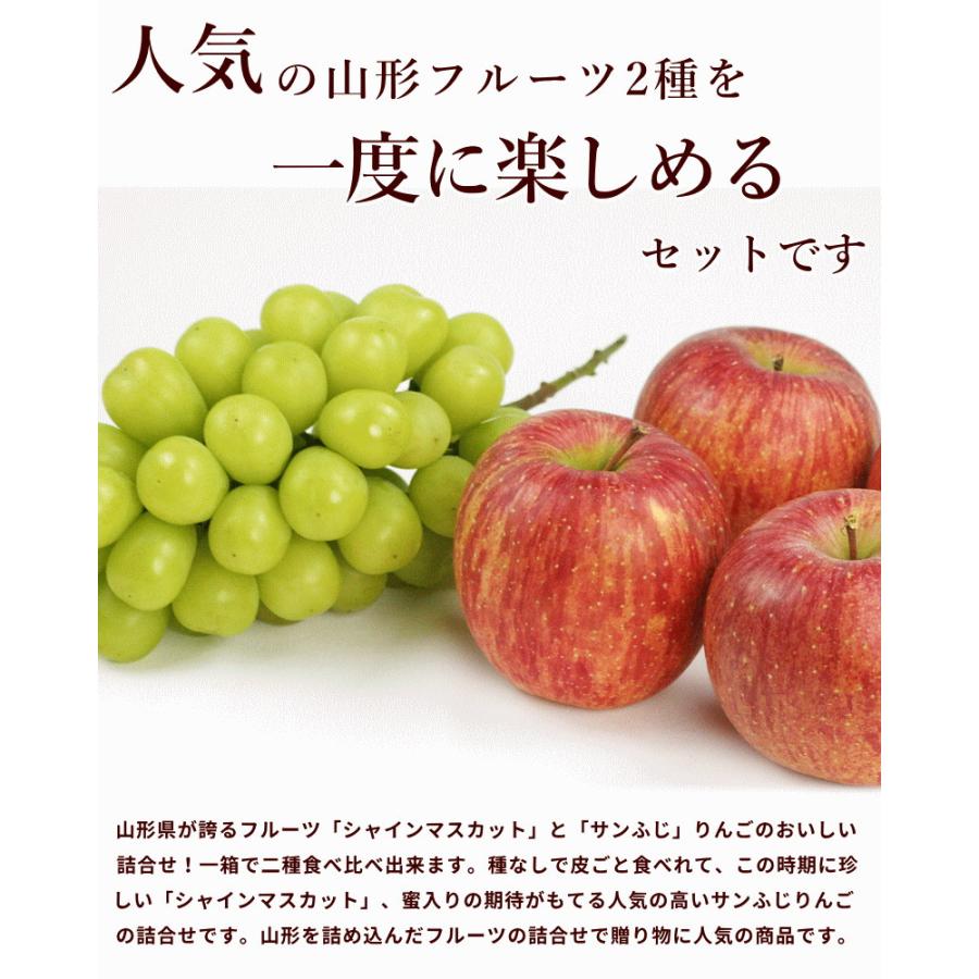 シャインマスカット りんご セット 山形県産 シャインマスカット1房＆サンふじ4個詰合 秀品 ギフト お歳暮 11月下旬頃から発送 送料込