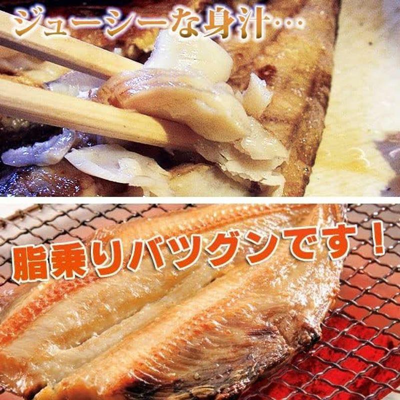 冷凍食品 干物 ホッケ 一夜干し 開き 国産 真ホッケ 5枚