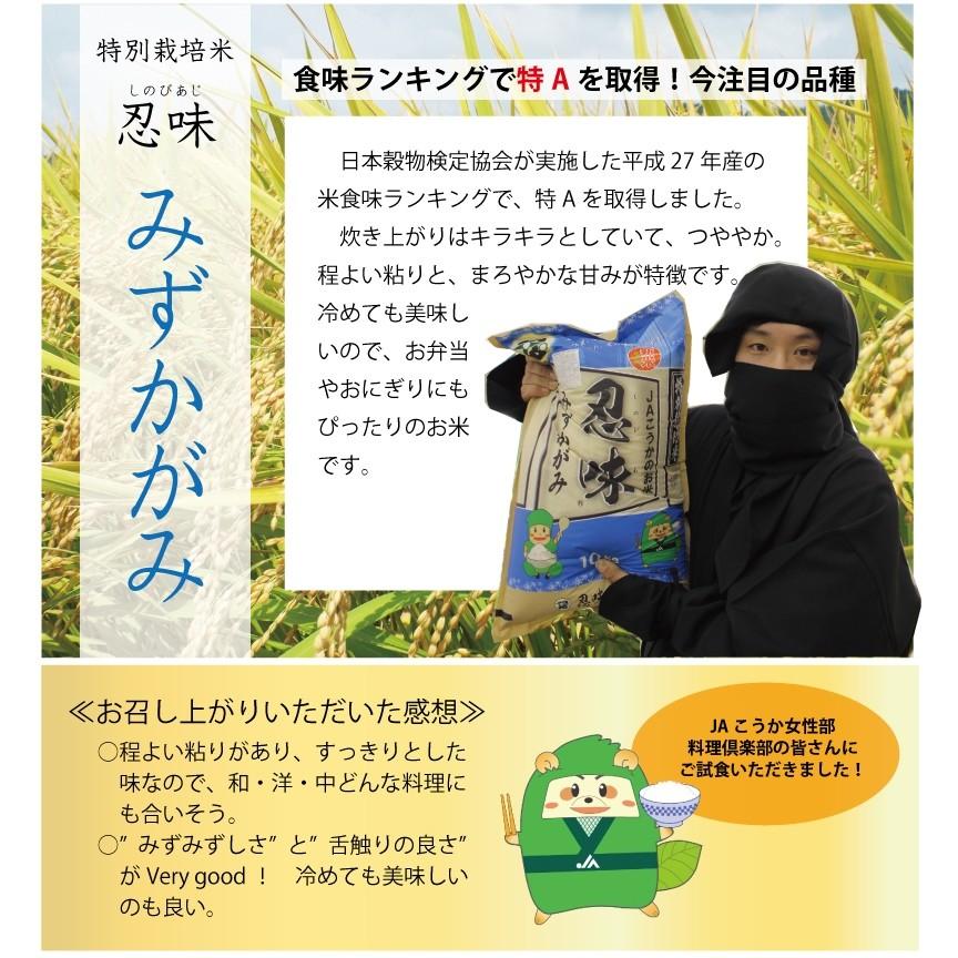 滋賀県産近江米　JAこうか　特別栽培米　忍味　みずかがみ10kg　お米　白米