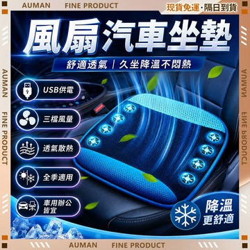 🥇歐曼🥇隔日達 辦公椅 人體工學 居家辦公 久坐支撐 可躺升降 USB風扇坐墊 家用車用坐墊 汽車坐墊 貨車轎車