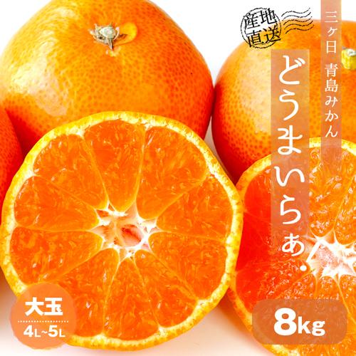 送料無料 みかん 三ケ日みかん 三ヶ日みかん ミカン 8kg 三ヶ日 三ケ日 青島 どうまいらぁ！ 大玉 大きい 大きめ 4L 5L 産地直送 ミカン 蜜柑 8キロ 静岡県 大粒