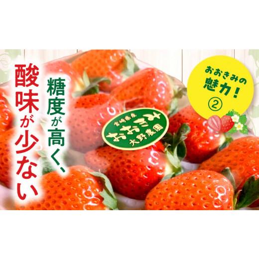 ふるさと納税 宮崎県 宮崎市 期間・数量限定 宮崎県産 イチゴ 「おおきみ」 1パック (360g以上:12粒〜15粒程度)_M260-001