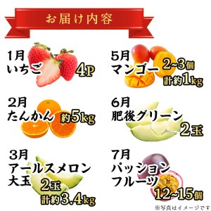 ＜定期便・全6回＞自慢の農家×老舗青果店のフルーツ定期便(6回)