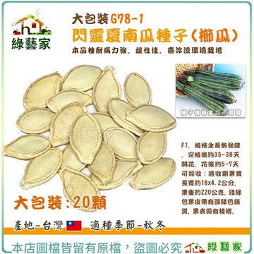 【綠藝家】大包裝G78-1.閃靈夏南瓜種子20顆 (櫛瓜) F1 植株生長勢強健，本品種耐病力強