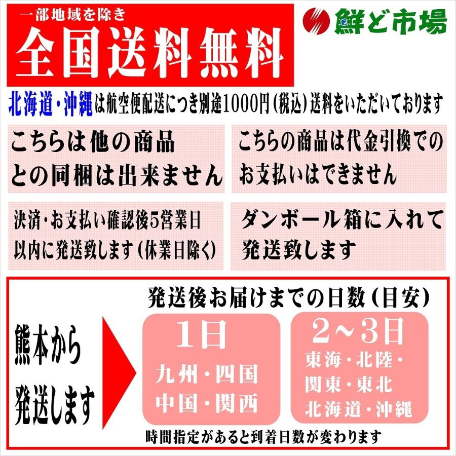 球磨酪農　球磨の恵ヨーグルト無糖　１ｋ×2個　送料無料　無糖ヨーグルト　人吉　人吉球磨　砂糖不使用