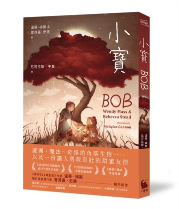 小寶（《第n次11歲生日》作者溫蒂梅斯、紐伯瑞金獎作家雷貝嘉史德聯手新作）[二手書_良好]