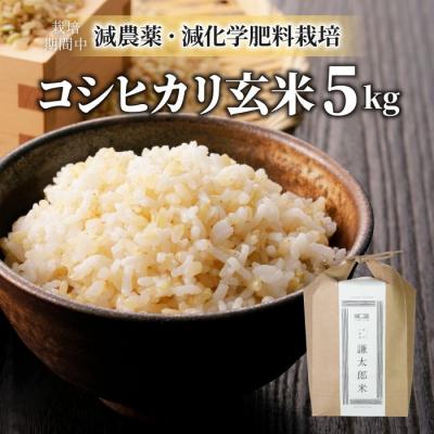 ふるさと納税 東御市 八重原産特別栽培米(栽培期間中 減農薬・減化学肥料栽培)コシヒカリ玄米5kg