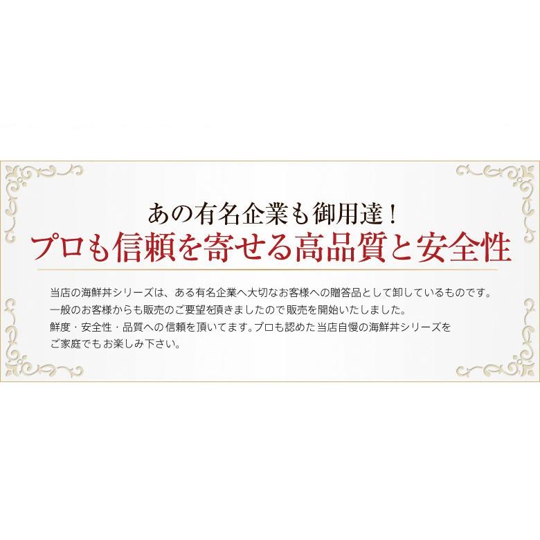 大人気の海鮮丼をどっさり★海鮮丼詰合せ計１５食 （マグロ漬け3p＋ネギトロ3P サーモンネギトロ3p トロサーモン3p イカサーモン3P）［冷凍］