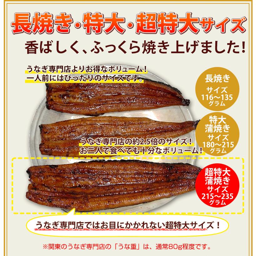 うなぎ 蒲焼き 国産　超特大蒲焼き(215g以上)1本　鹿児島産 グルメ クール