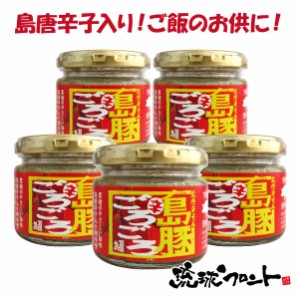 島豚ごろごろ 辛（島唐辛子） 120g×5個セット あんだんすー アンダンス― ご飯のお供 ごはんのおとも おにぎりの具 ゴーヤカンパニー