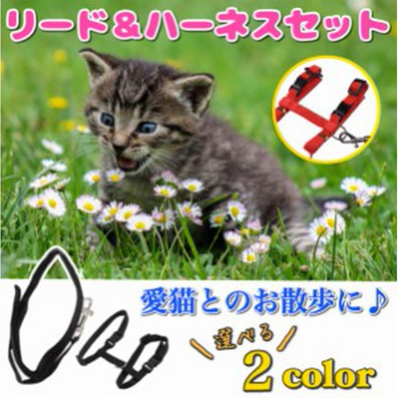 猫 リード ハーネス 送料無料 2カラー ブラック レッド 猫用胸当て ハーネス リードセット 猫用品 ペットグッズ 猫リード お散歩 通販 Lineポイント最大1 0 Get Lineショッピング