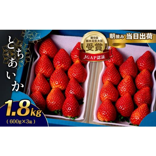 ふるさと納税 栃木県 真岡市 とちあいか 1.8kg (600g×3箱)　