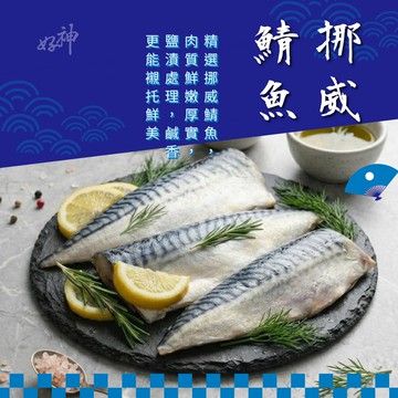 【好神】挪威鯖魚片｜140-160g/片 6片組