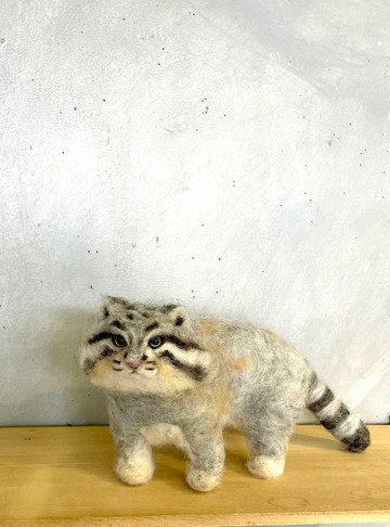 兔猻