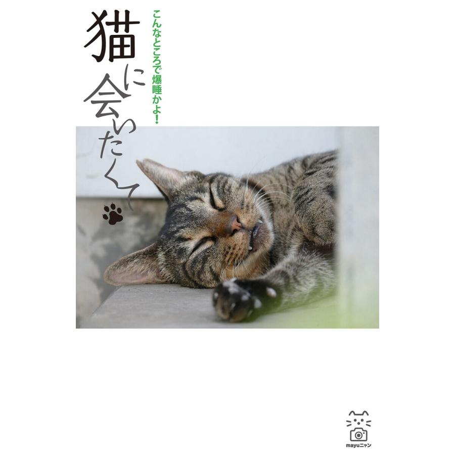 猫に会いたくて こんなところで爆睡かよ! 電子書籍版   撮影:mayuニャン