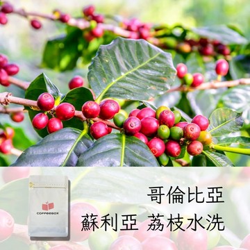 哥倫比亞 蘇利亞莊園 卡斯提優 荔枝水洗 淺焙 (100g)【柏克斯咖啡】