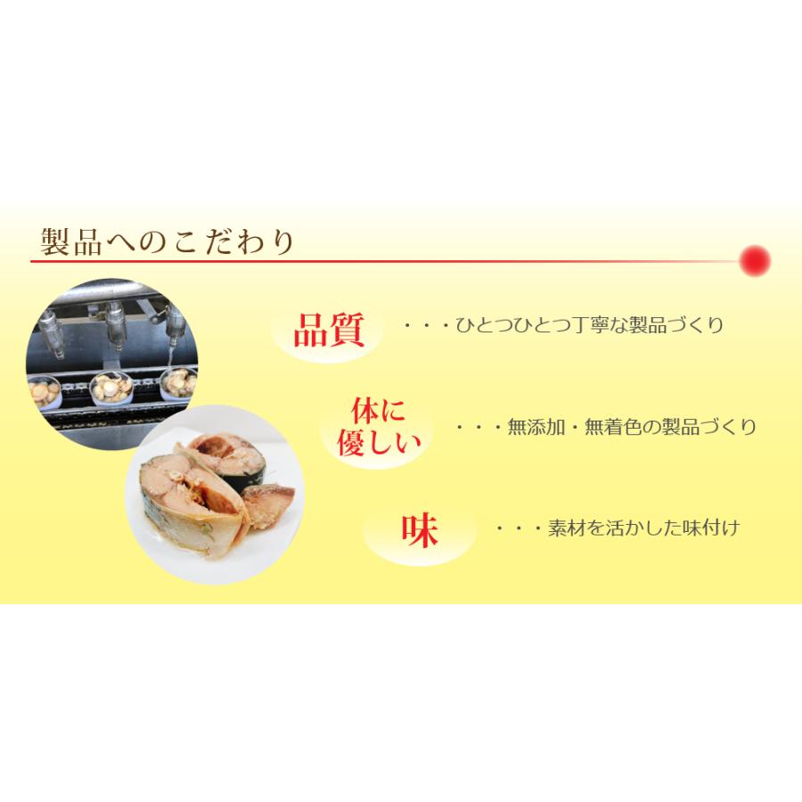 サバ缶 国産 三陸産 水煮 鯖缶 さば 缶詰 180g×6缶（タイム缶詰）