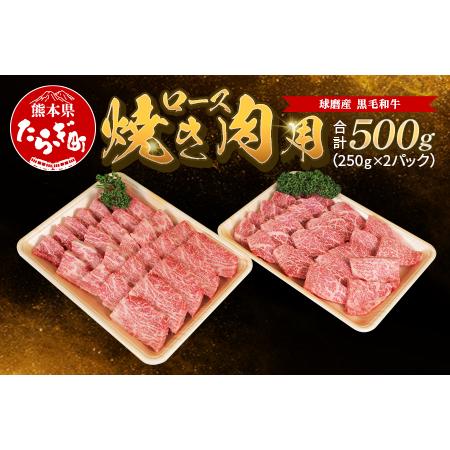 ふるさと納税 球磨産 黒毛和牛 ロース 焼き肉用 500g（250g×2パック） サーロイン スライス【 牛肉 ロース 和牛 国産 .. 熊本県多良木町