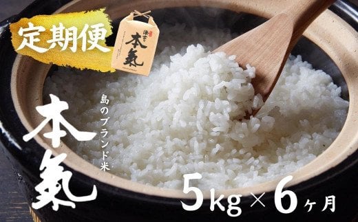 計30kg！本氣米5kg×6か月定期便