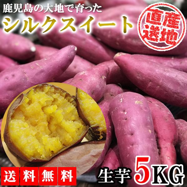 シルクスイート さつまいも 5kg 送料無料 産地直送 産直 土付き さつま芋 薩摩芋 焼きいも 焼き芋 鹿児島県産 FJK-001