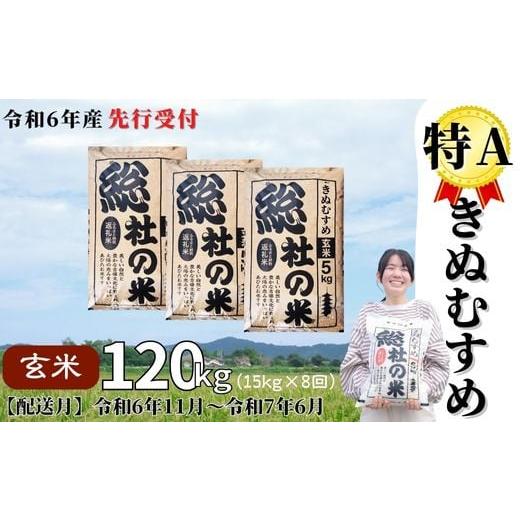 ふるさと納税 岡山県 総社市 特Aきぬむすめ120kg 定期便（15kg×8回）岡山県総社市産〔令和6年11月から令和7年6月まで毎月配送〕24-12…