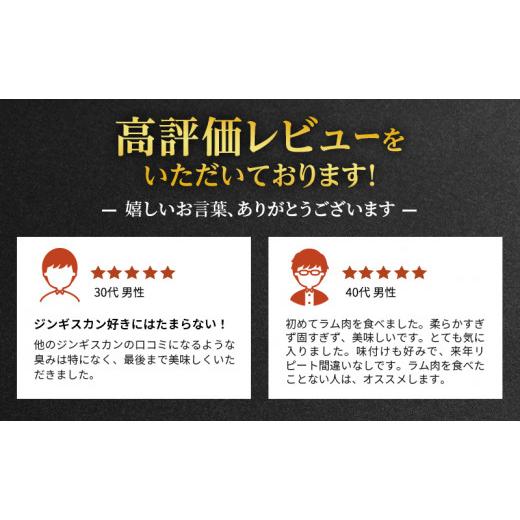 ふるさと納税 北海道 標茶町 ラム肉 味付け ジンギスカン500g×2パック