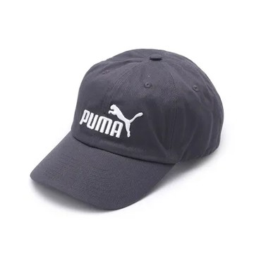 PUMA 基本系列 NO.1 棒球帽 灰 02435718