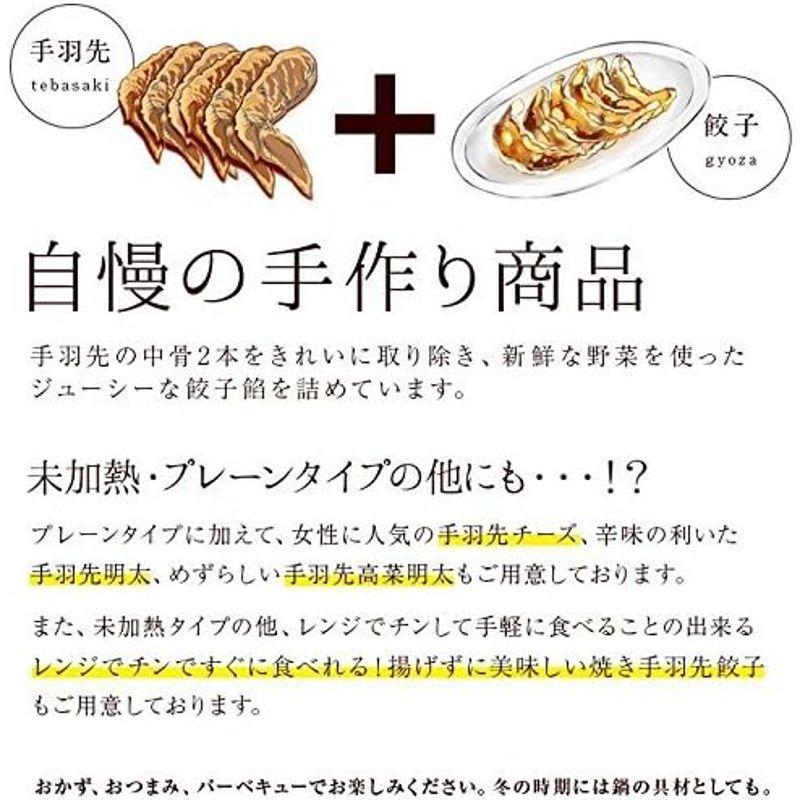 手羽先餃子(手羽餃子 てばぎょうざ 手羽先ギョーザ) 冷凍 手羽先ぎょうざお取り寄せ 10本入×2袋